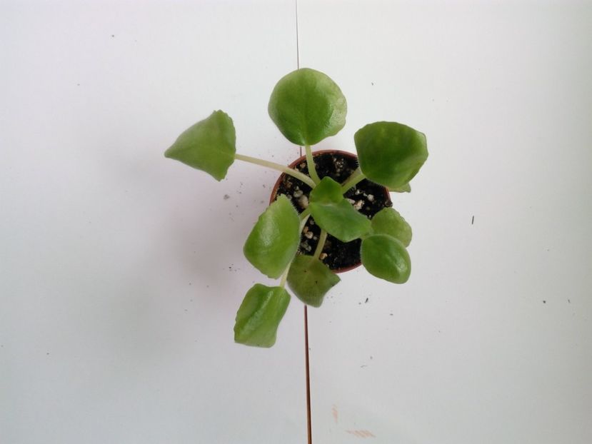 aprilie 2019 - RS Don Zhuan sp