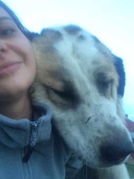 5B9D3DDE-B145-40A6-A0C5-392538E85912 - animale