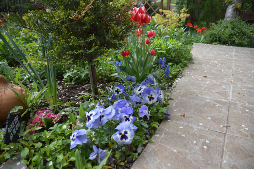  - Pridvor si Idilic garden