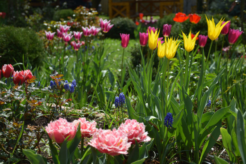  - Pridvor si Idilic garden