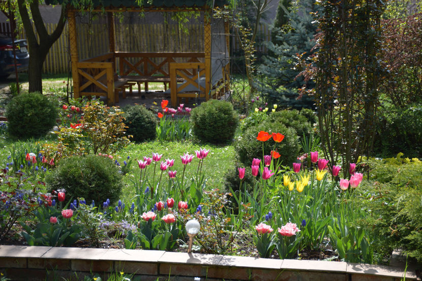  - Pridvor si Idilic garden