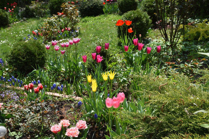  - Pridvor si Idilic garden