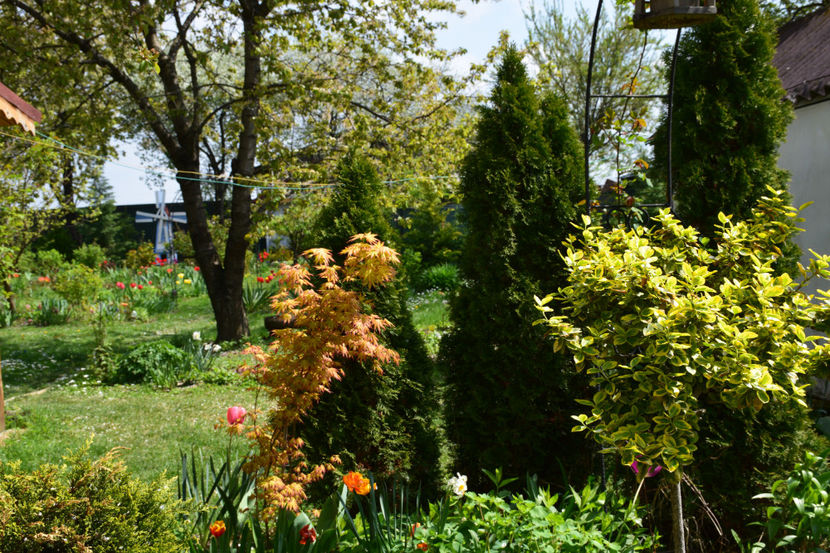  - Pridvor si Idilic garden