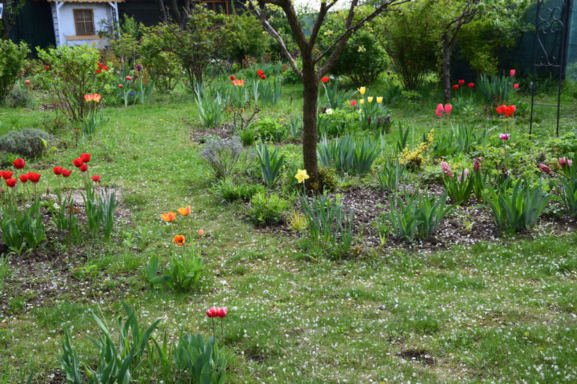  - Pridvor si Idilic garden