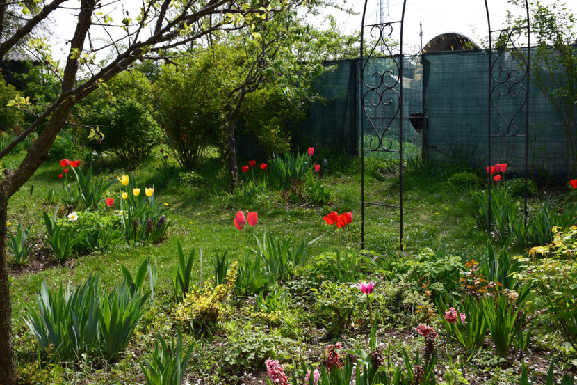  - Pridvor si Idilic garden