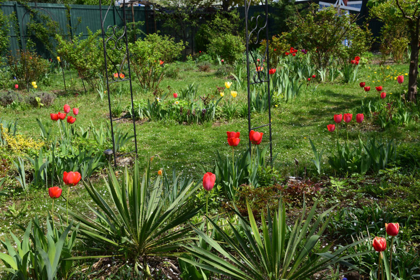  - Pridvor si Idilic garden