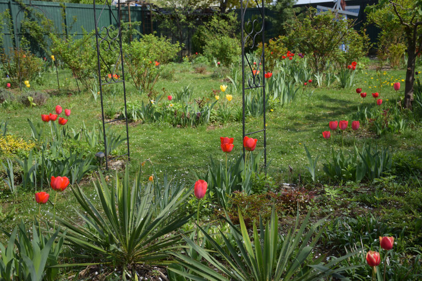  - Pridvor si Idilic garden