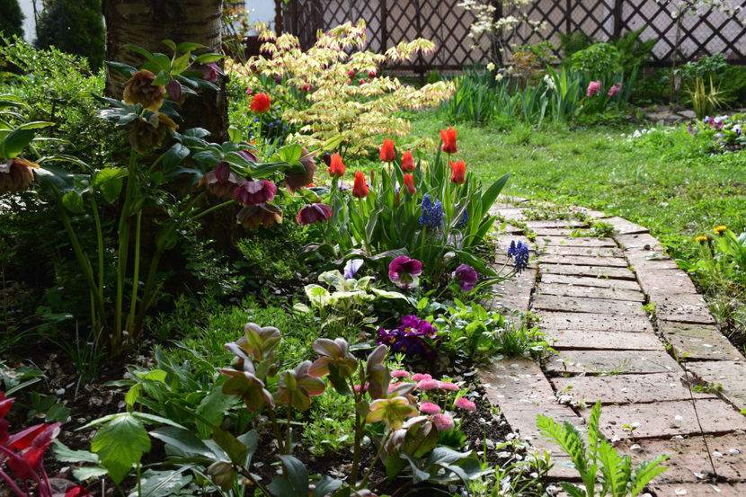  - Pridvor si Idilic garden