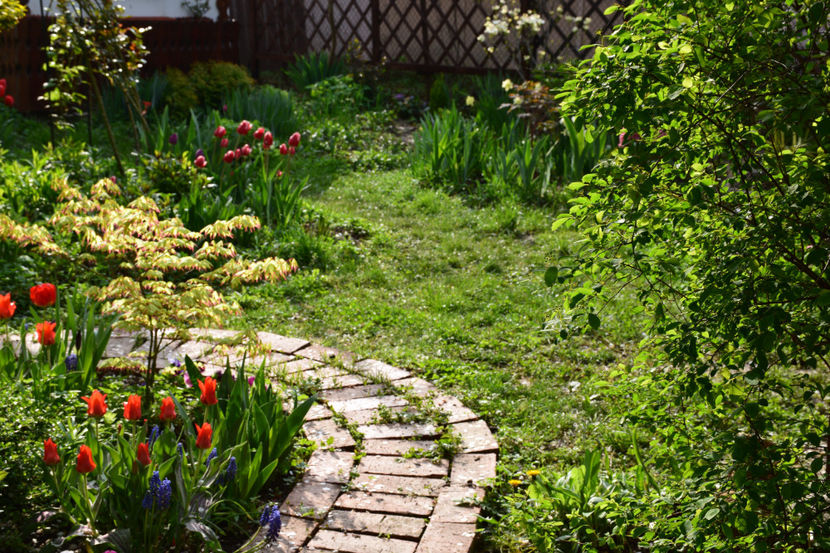  - Pridvor si Idilic garden