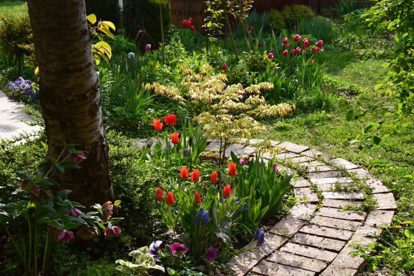  - Pridvor si Idilic garden