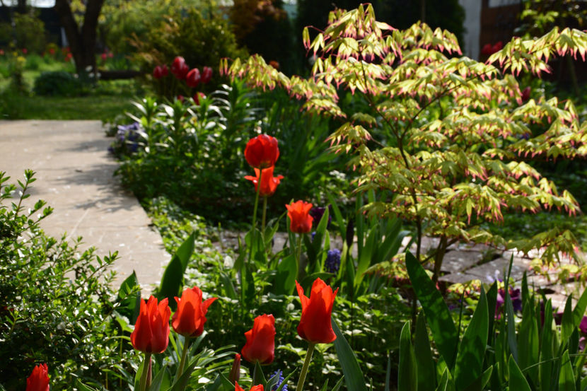  - Pridvor si Idilic garden