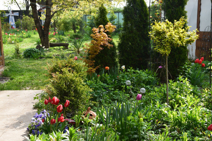  - Pridvor si Idilic garden