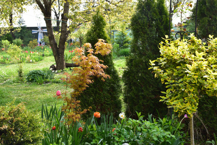  - Pridvor si Idilic garden