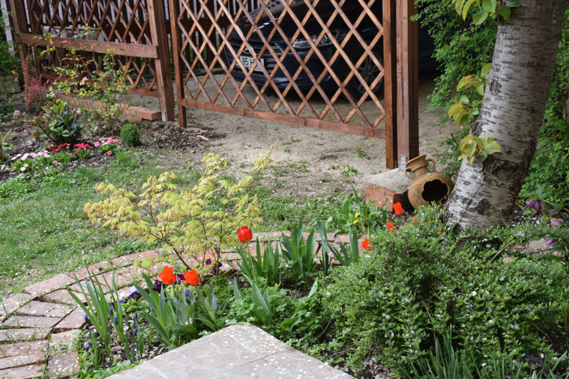  - Pridvor si Idilic garden