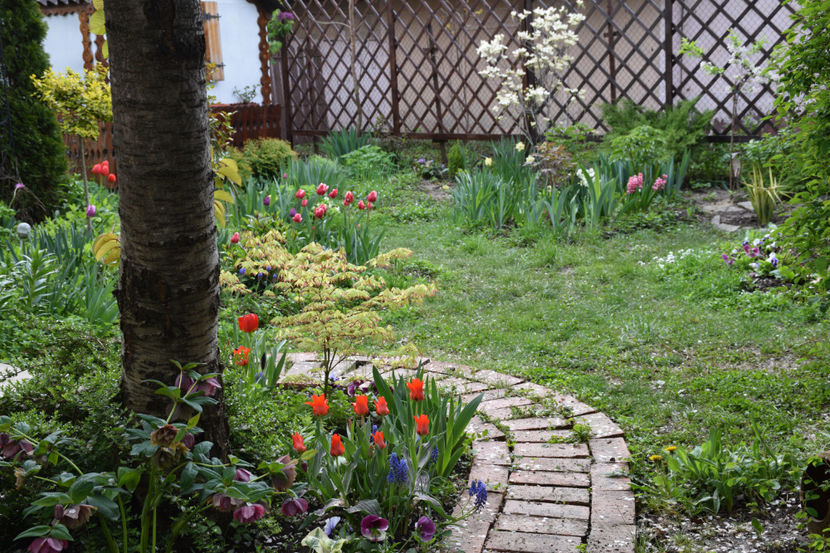  - Pridvor si Idilic garden