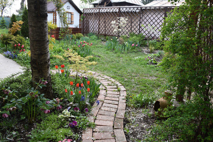  - Pridvor si Idilic garden