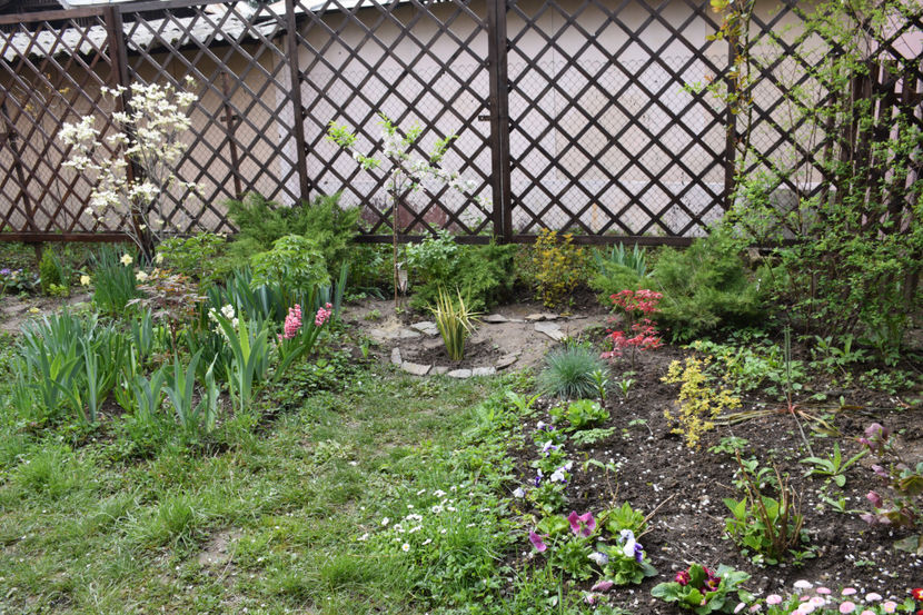  - Pridvor si Idilic garden