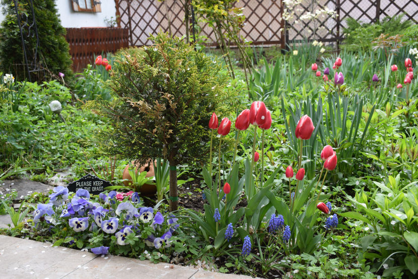  - Pridvor si Idilic garden