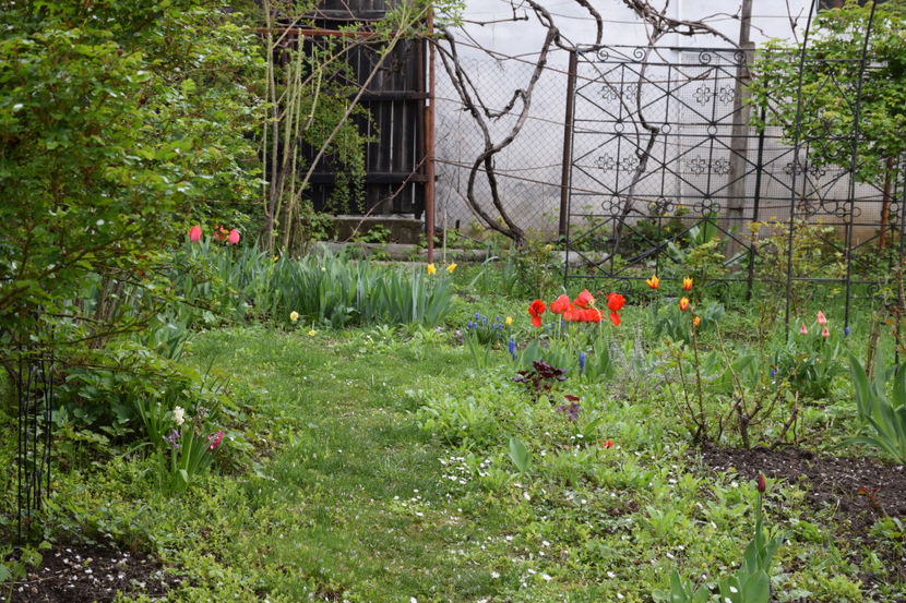  - Pridvor si Idilic garden