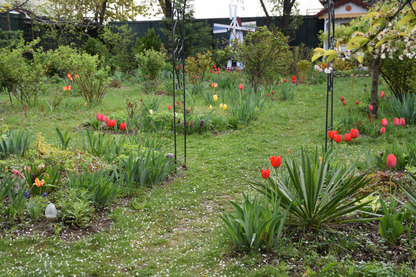  - Pridvor si Idilic garden