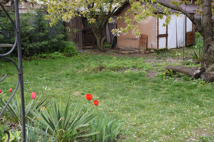  - Pridvor si Idilic garden
