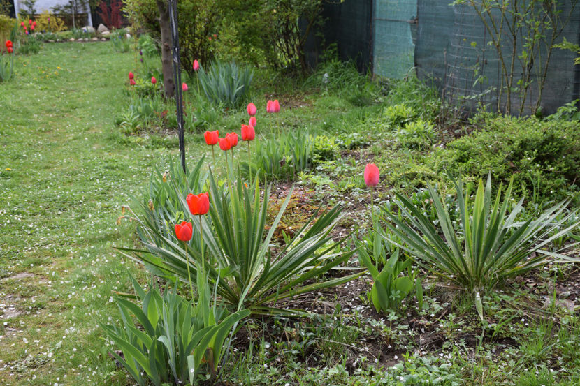  - Pridvor si Idilic garden