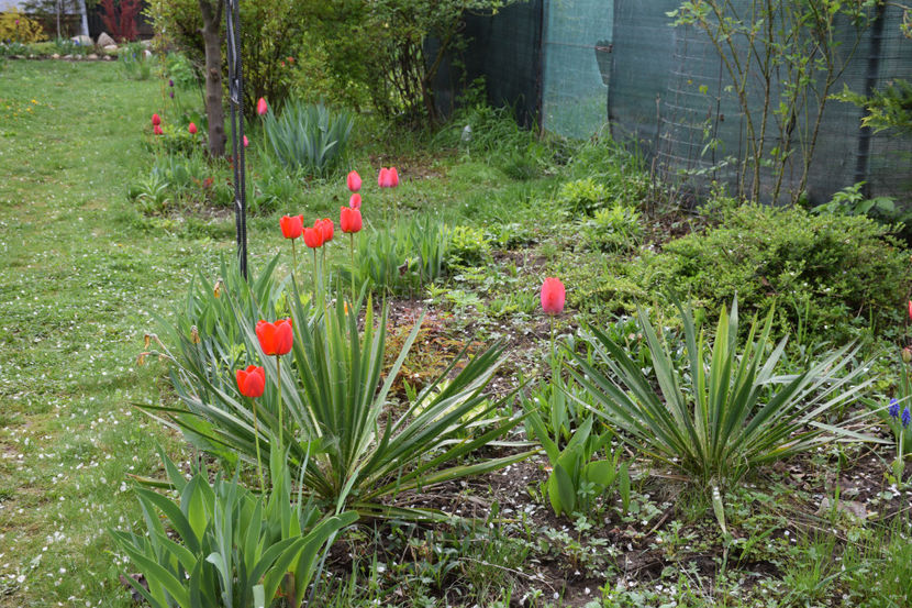  - Pridvor si Idilic garden