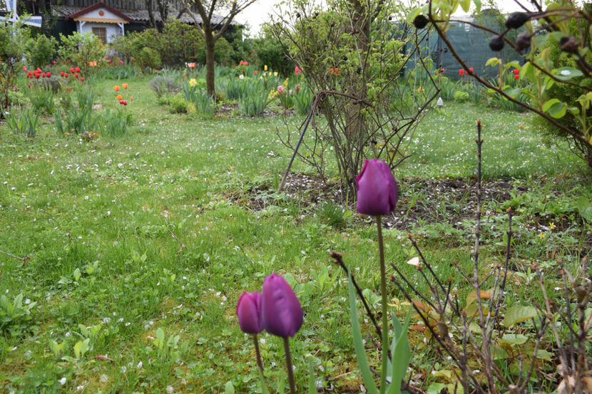  - Pridvor si Idilic garden