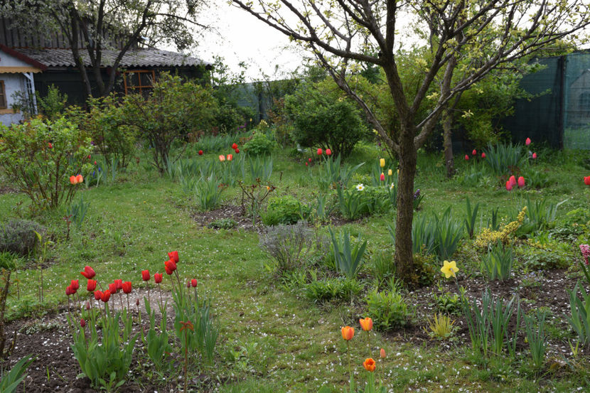  - Pridvor si Idilic garden