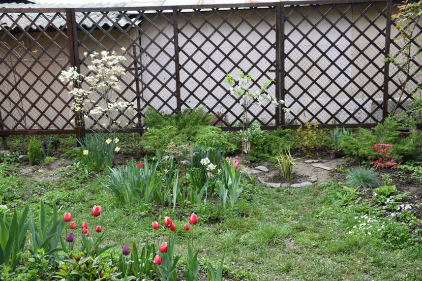  - Pridvor si Idilic garden