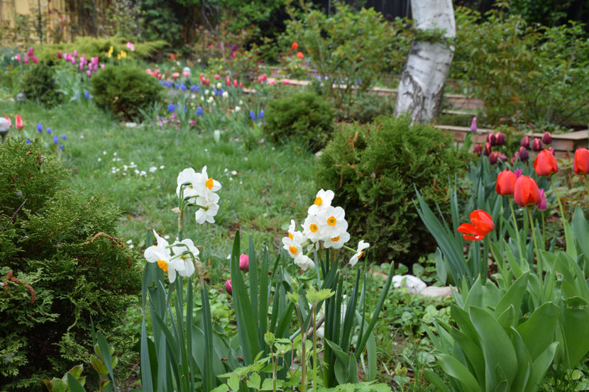  - Pridvor si Idilic garden