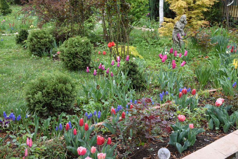  - Pridvor si Idilic garden