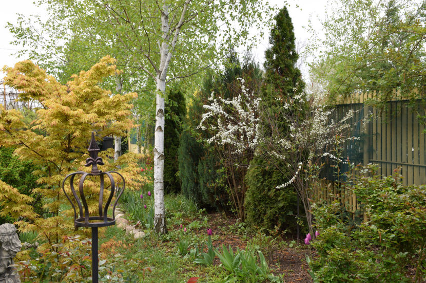  - Pridvor si Idilic garden