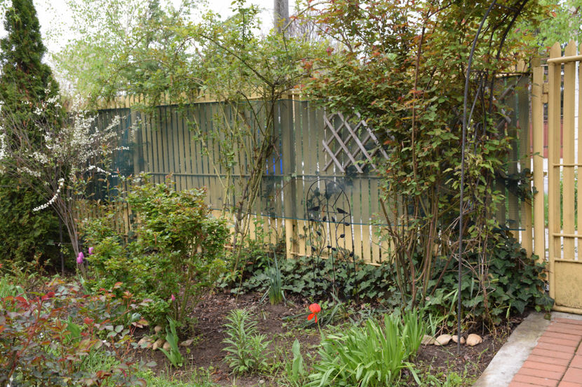  - Pridvor si Idilic garden