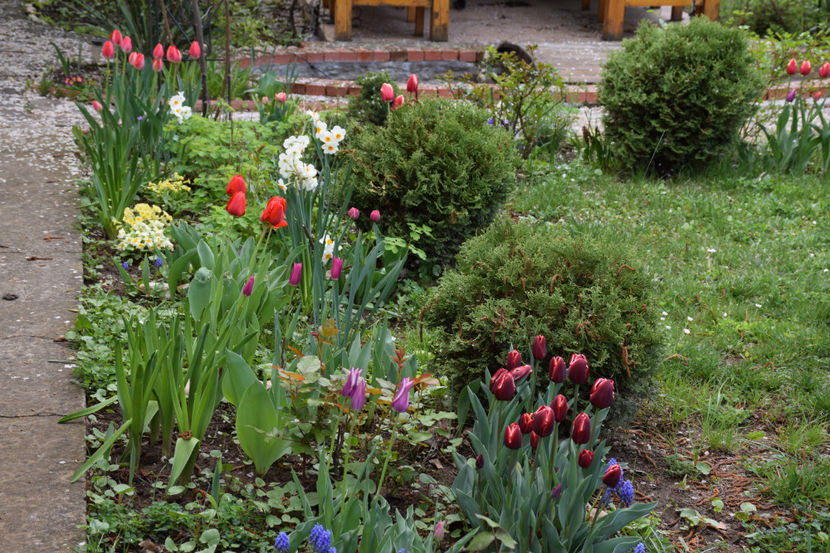  - Pridvor si Idilic garden