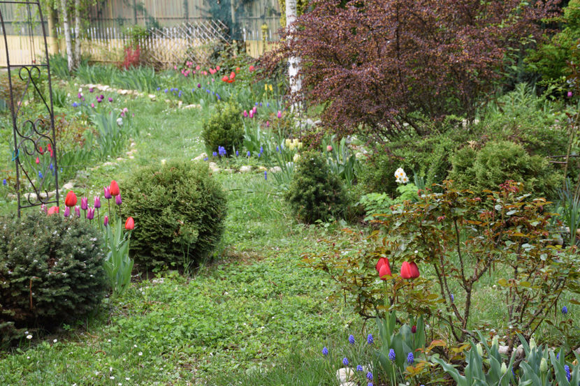  - Pridvor si Idilic garden