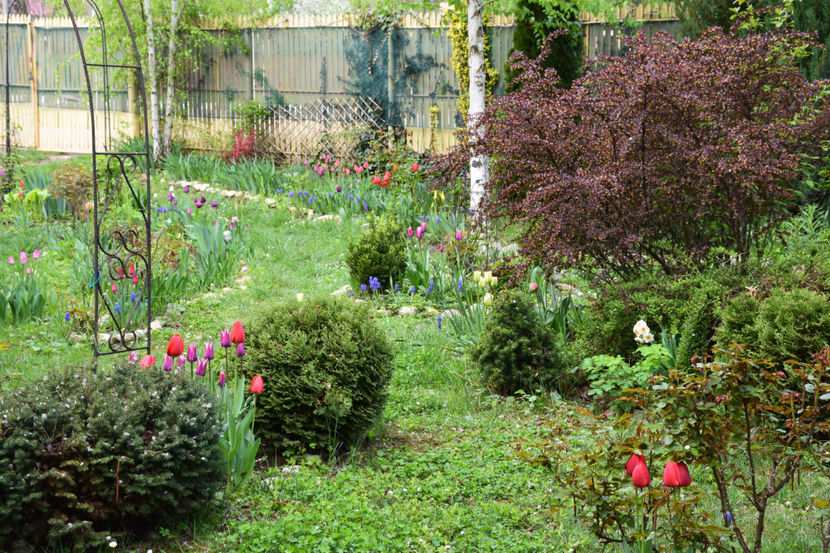  - Pridvor si Idilic garden