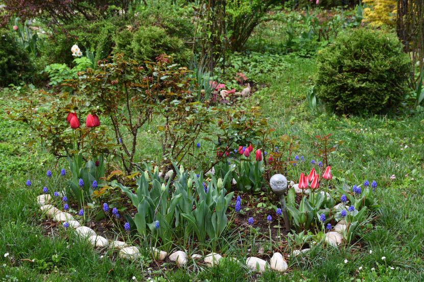  - Pridvor si Idilic garden