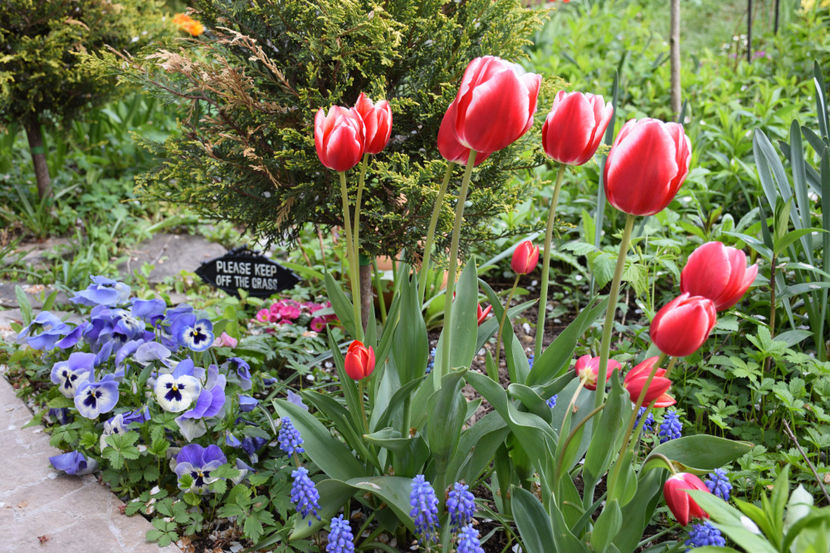  - Pridvor si Idilic garden