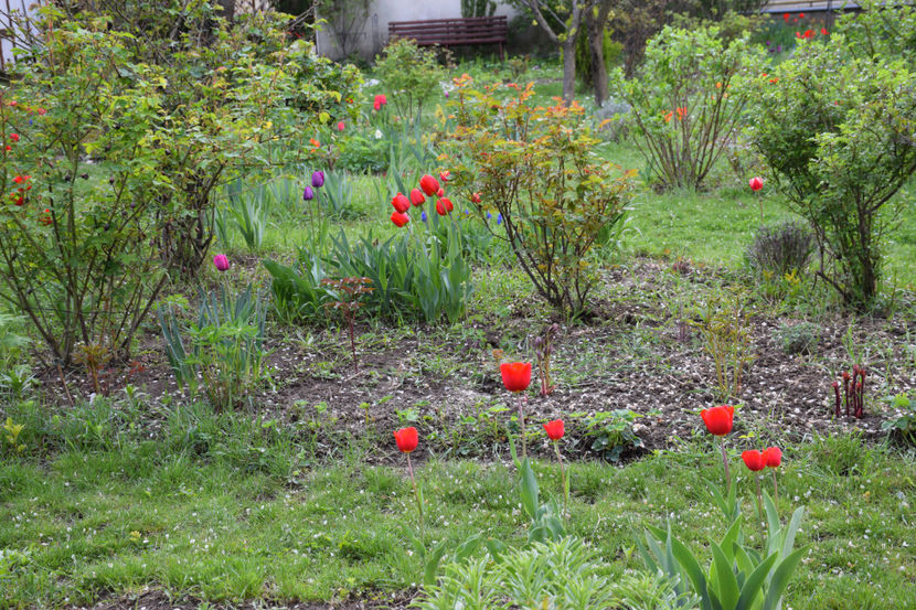  - Pridvor si Idilic garden