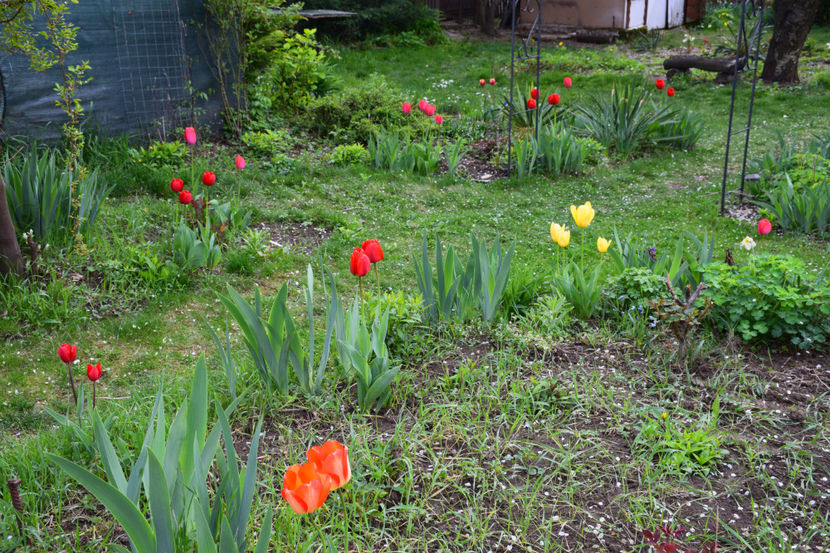  - Pridvor si Idilic garden