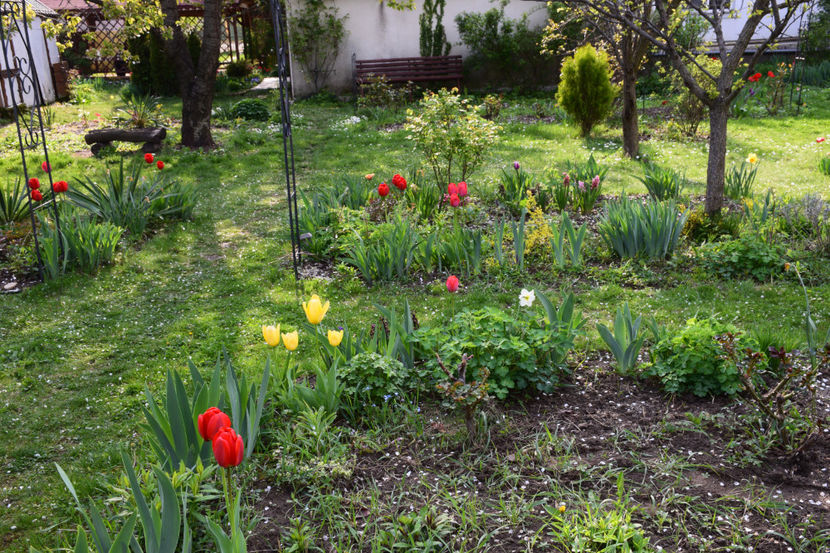  - Pridvor si Idilic garden