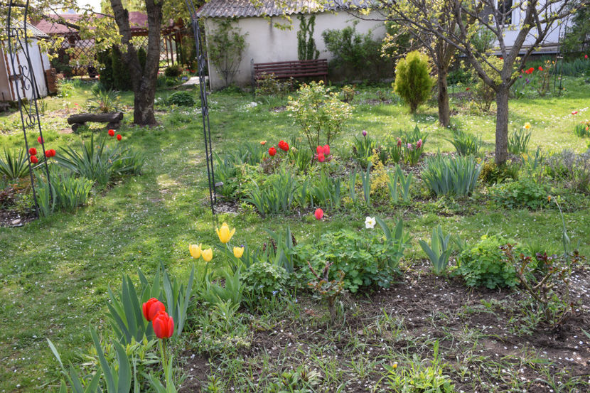  - Pridvor si Idilic garden