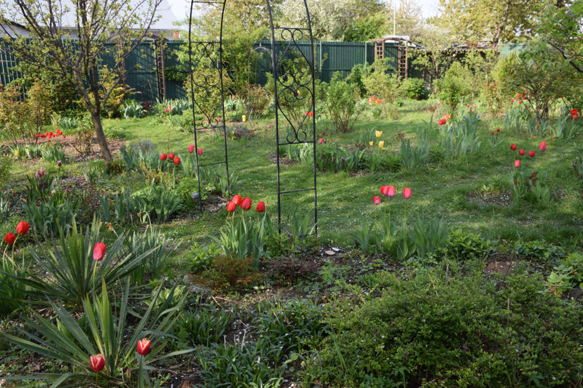  - Pridvor si Idilic garden