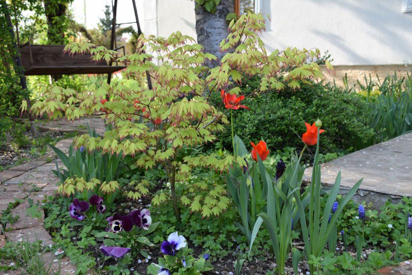  - Pridvor si Idilic garden