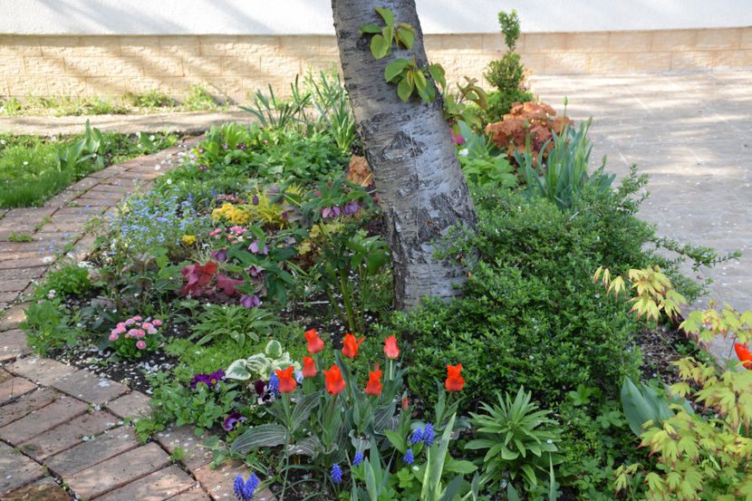  - Pridvor si Idilic garden