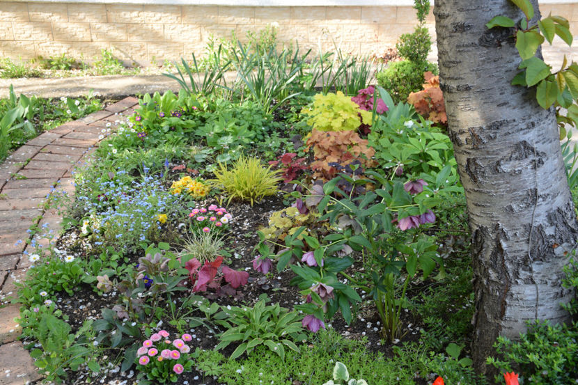  - Pridvor si Idilic garden