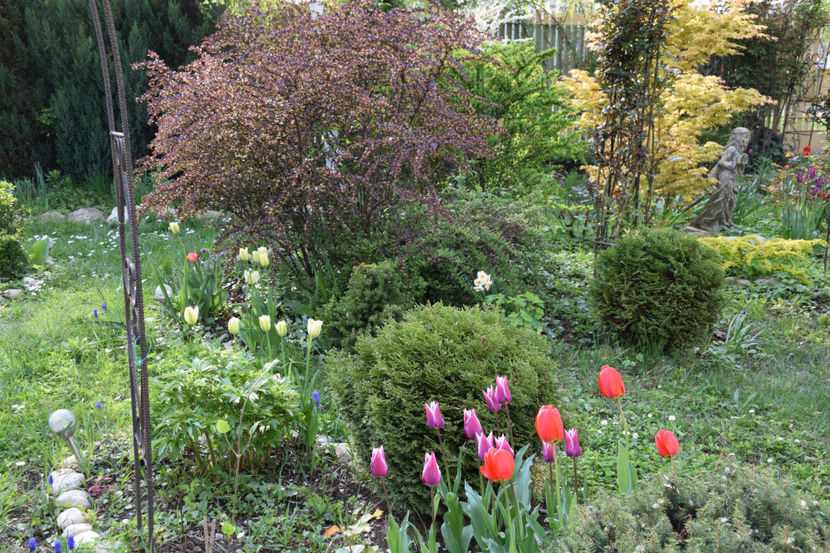  - Pridvor si Idilic garden