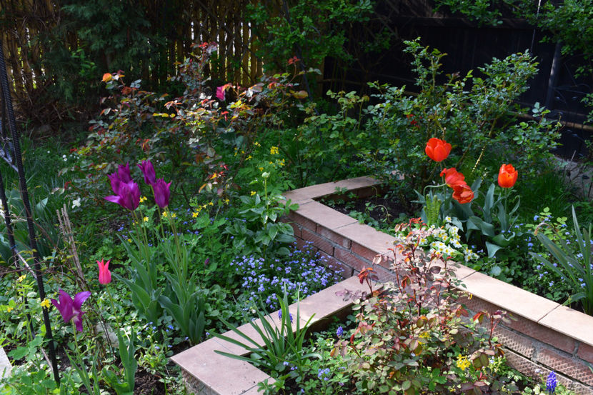  - Pridvor si Idilic garden