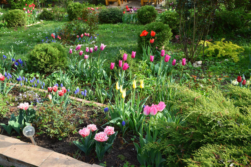  - Pridvor si Idilic garden